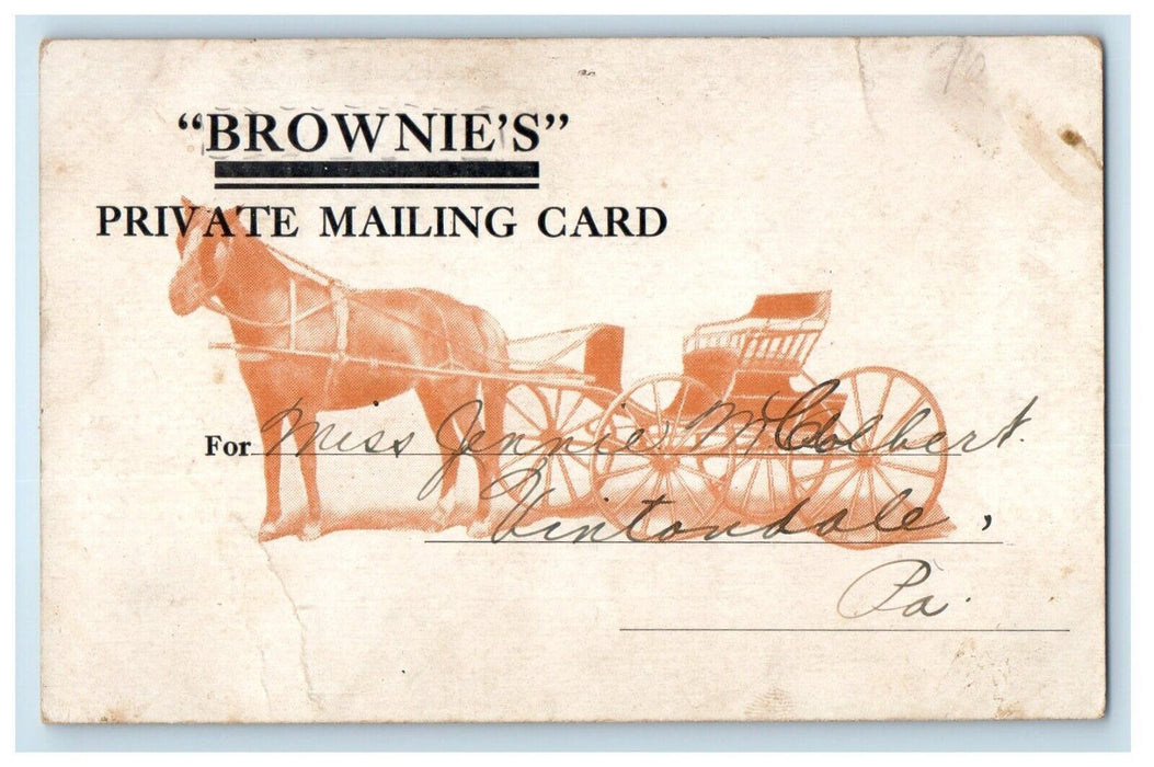 1909 Brownie's Farmers Wife Horse Buggy Pony Contestant St. Paul MN Postcard