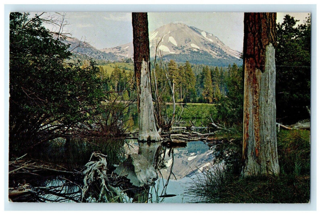 Mt. Lassen From Manzanita Lake Volcanic National Park California CA Postcard