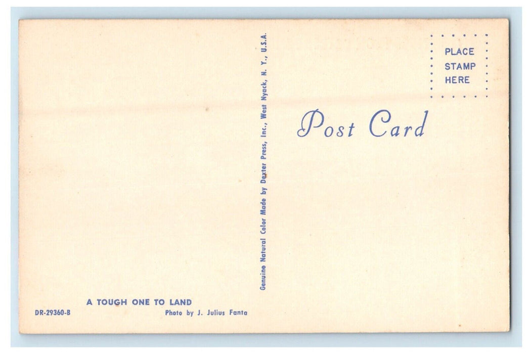 c1950's Greetings From Gaylord Michigan MI, Boy Canoeing Catched Fish Postcard