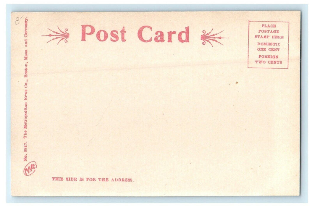 1905 White City Park in Worcester Massachusetts MA Antique Postcard