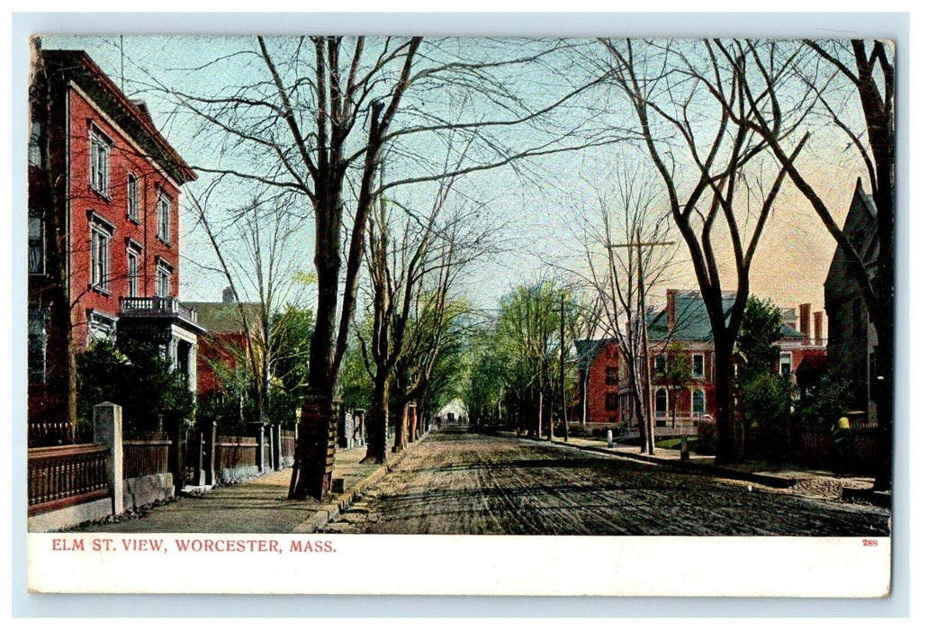 1906 Elm Street View, Worcester, Massachusetts MA Antique Postcard