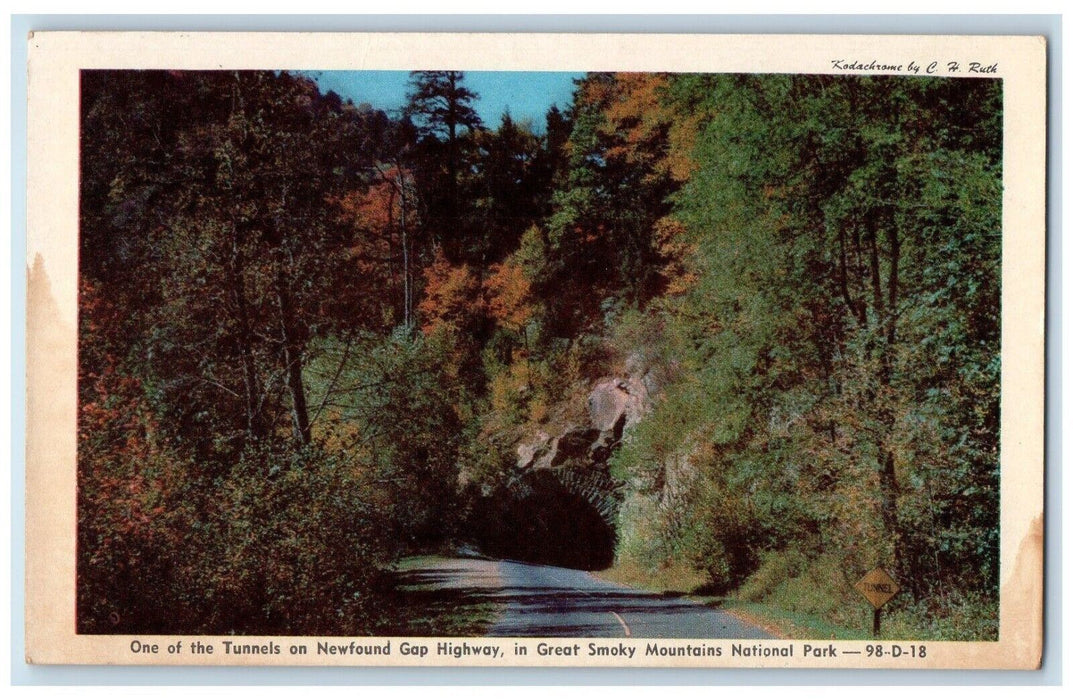 c1920's Tunnel on Newfound Gap Highway Great Smoky Mountains Park NC Postcard