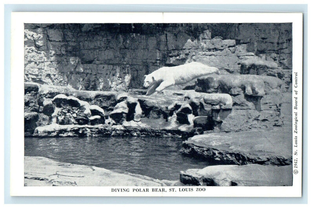 c1940's Diving Polar Bear St. Louis Zoo Missouri MO Unposted Vintage Postcard