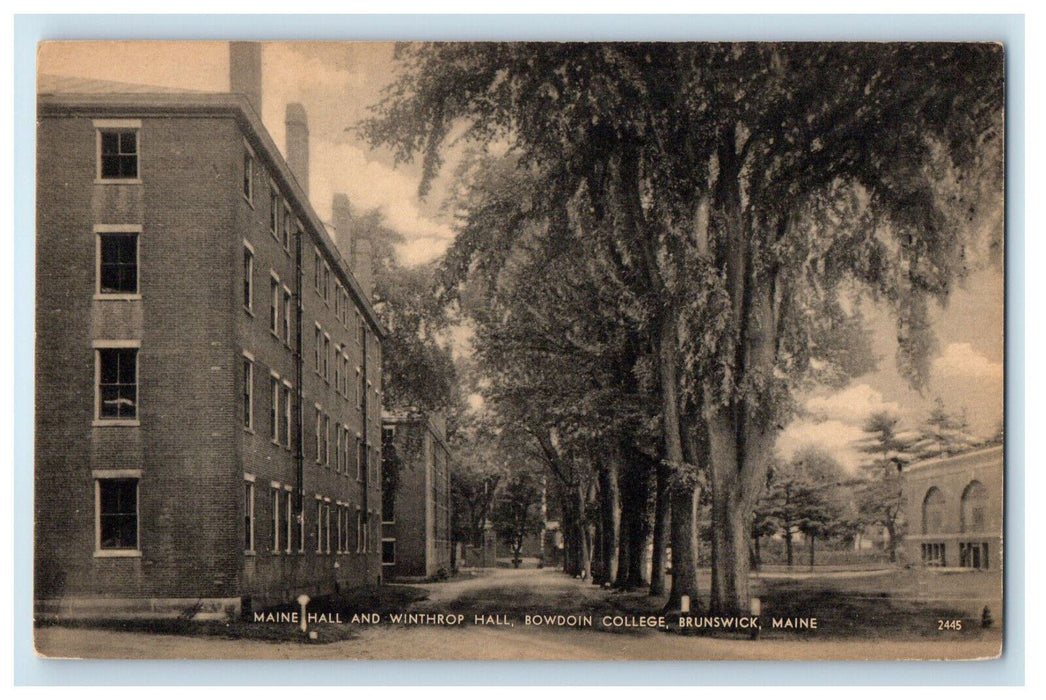 c1910s Maine Hall and Winthrop Hall, Bowdoin College, Brunswick ME Postcard