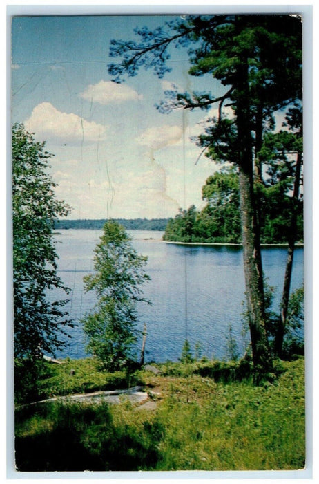 1965 A Glimpse of Northern Lake Vermilion Bay Ontario Canada Postcard