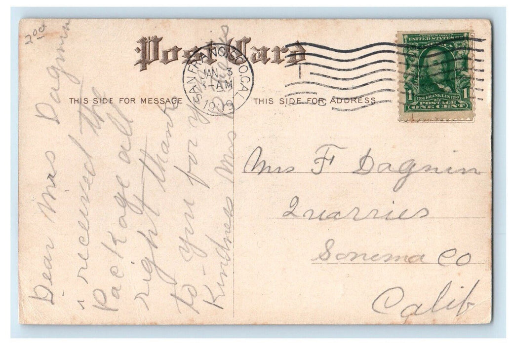 1909 The Hibernia Saving & Loan Society Flags San Francisco CA Antique Postcard