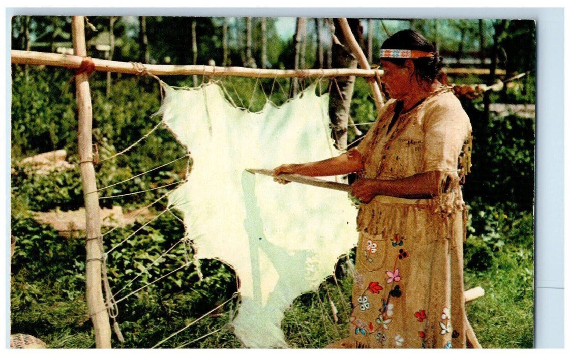 c1960's Chippewa Squaw Tanning Deer Hide Historyland Hayward WI Postcard