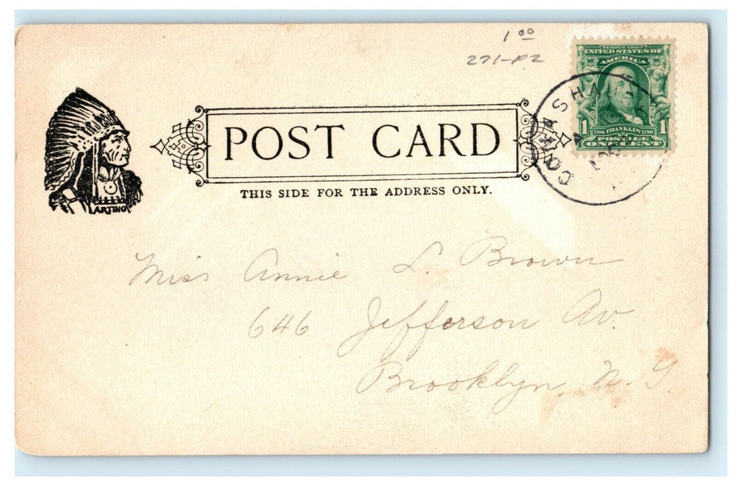 1901 Conashaugh PA, Raymonds Kill Falls, Milford PA Antique Postcard