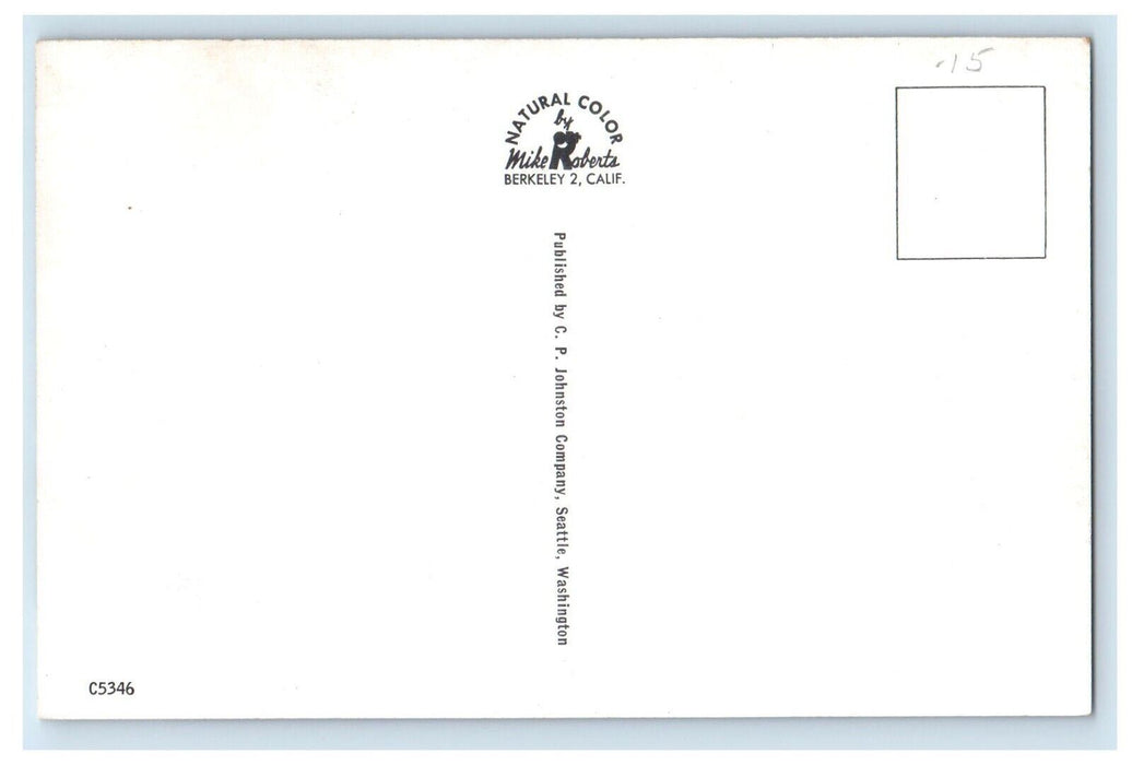 Greetings From Fairbanks Alaska AK, Lands Of The Midnight Sun Vintage Postcard