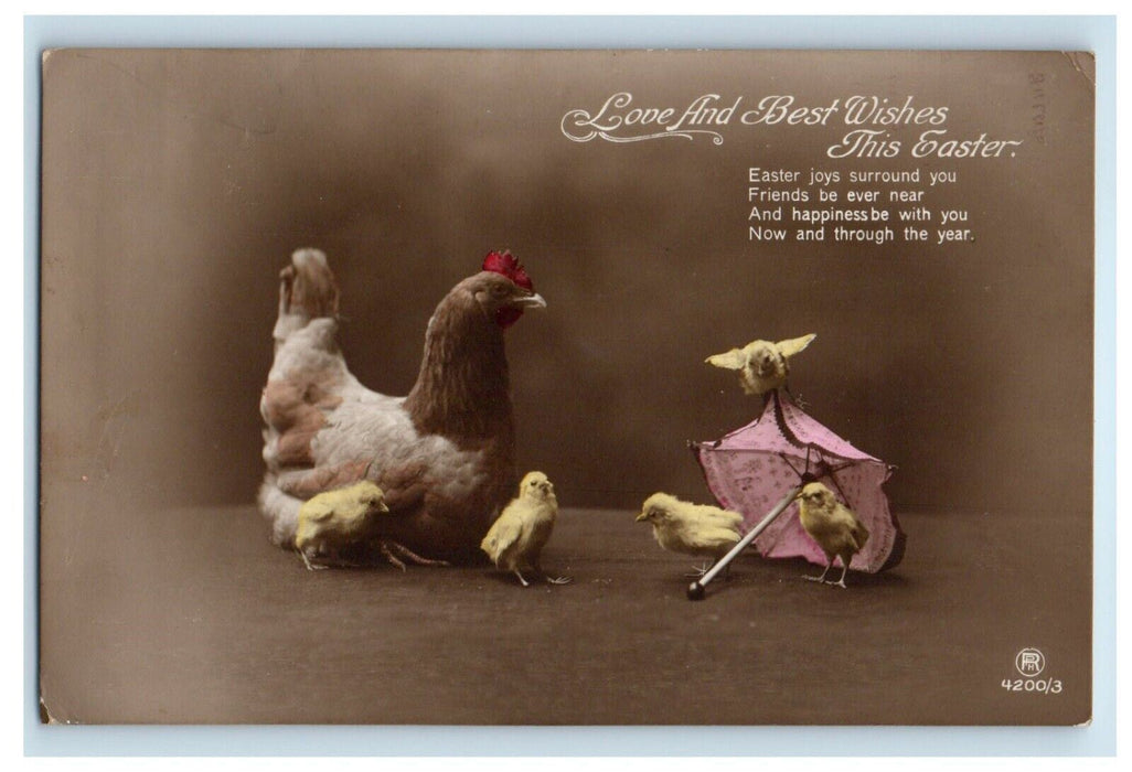c1905 Easter Wishes Chicken Hen Chicks Umbrella RPPC Photo Antique Postcard