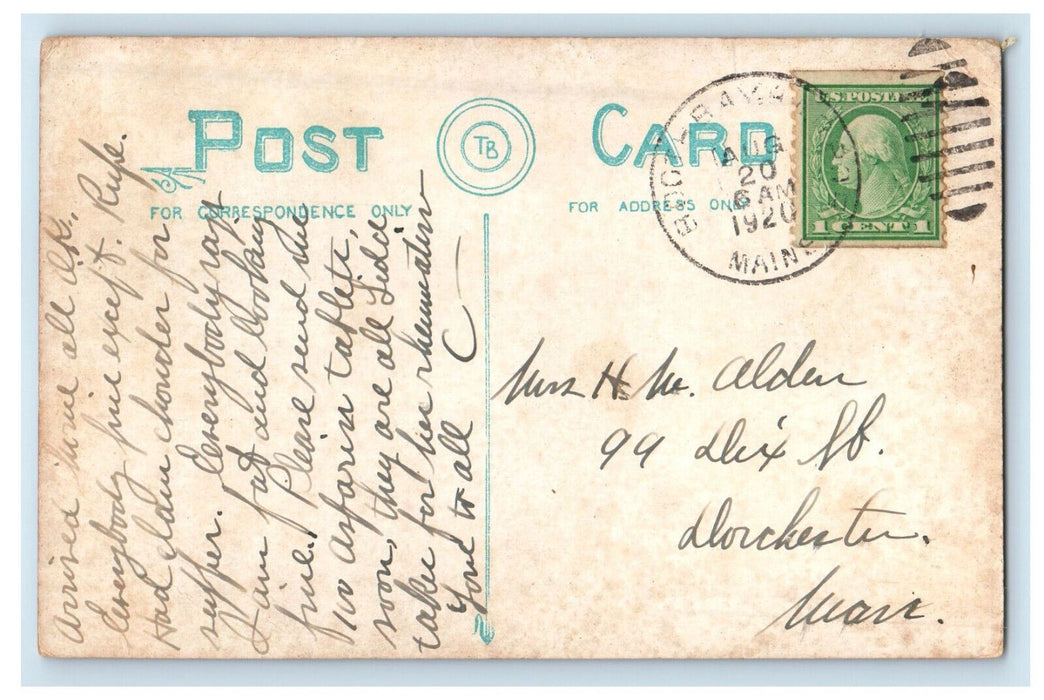 1920 View of Water and Grasses, Boothbay Harbor Maine ME Posted Postcard