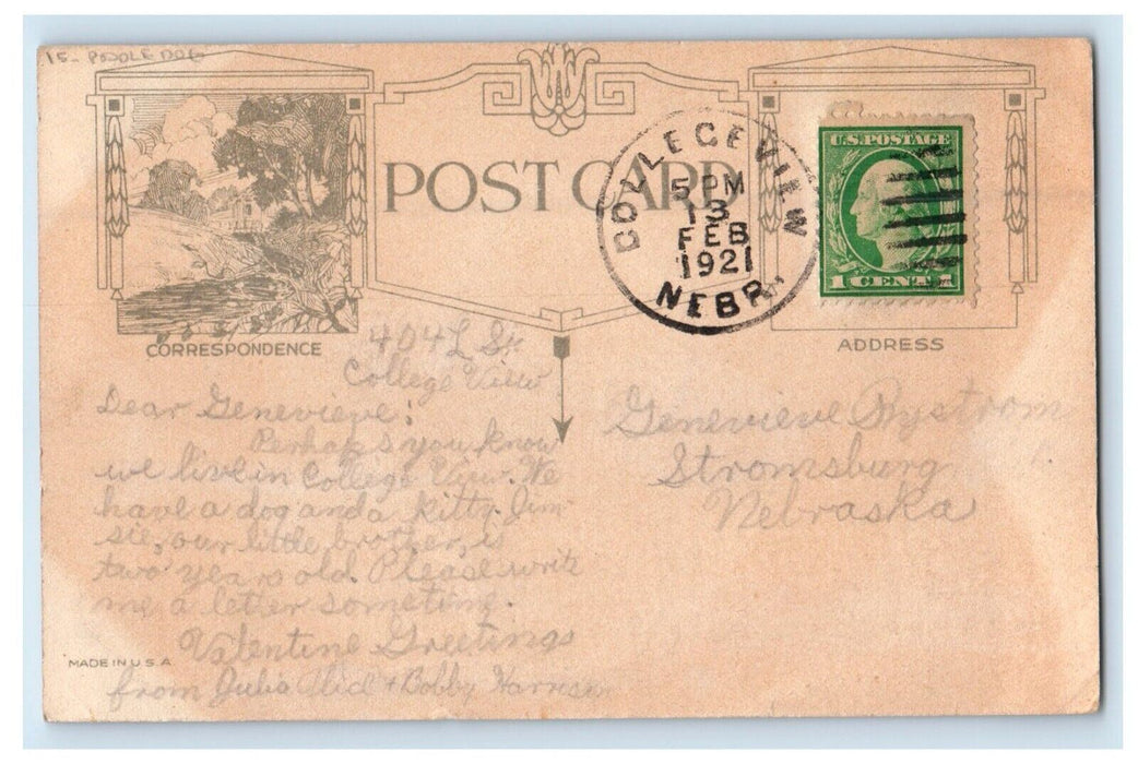 1921 Valentine Little Girl Poodle Dog Birds Embossed College View NE Postcard