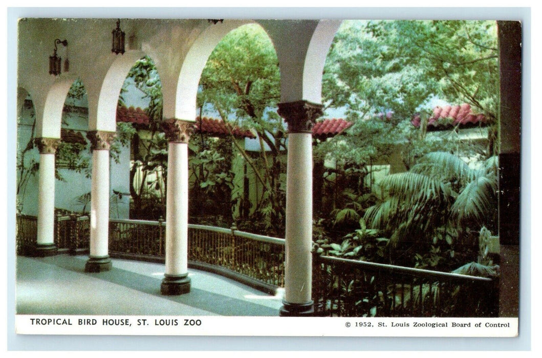 1952 Tropical Bird House St. Louis Zoo Missouri MO Vintage Postcard