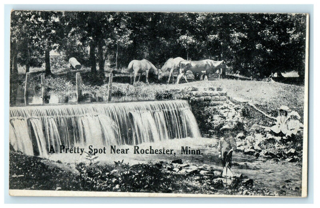 A Pretty Spot Near Rochester Falls Trees Minnesota MN Unposted Antique Postcard