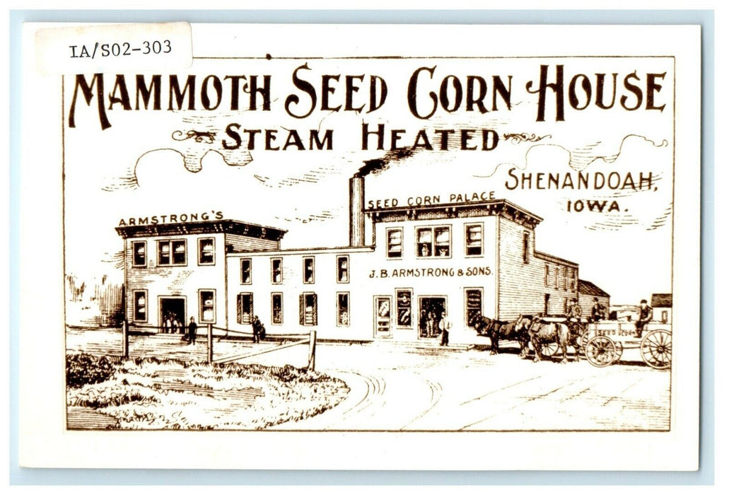 Mammoth Seed Corn House Steam Heated Shenandoah Iowa IA Postcard