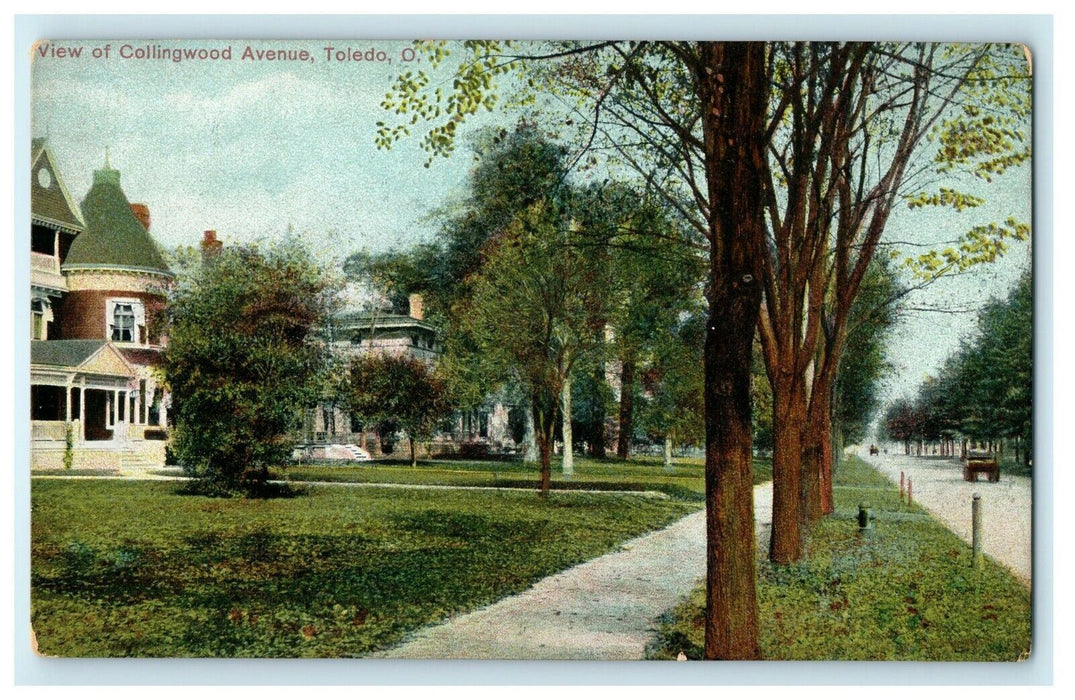 1905 View Of Collingwood Avenue Toledo Ohio OH Unposted Vintage Postcard