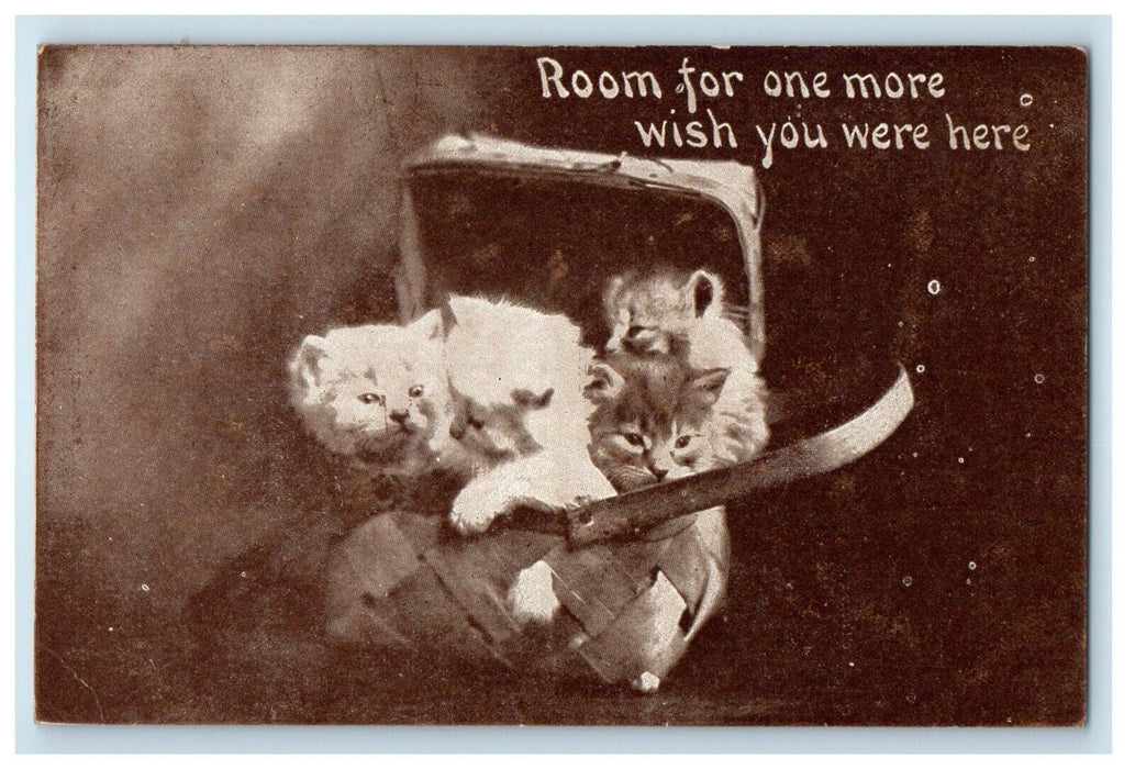 1910 Kitten Cats Basket Curwensville Pennsylvania PA Posted Antique Postcard