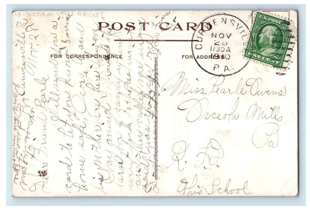 1910 Kitten Cats Basket Curwensville Pennsylvania PA Posted Antique Postcard
