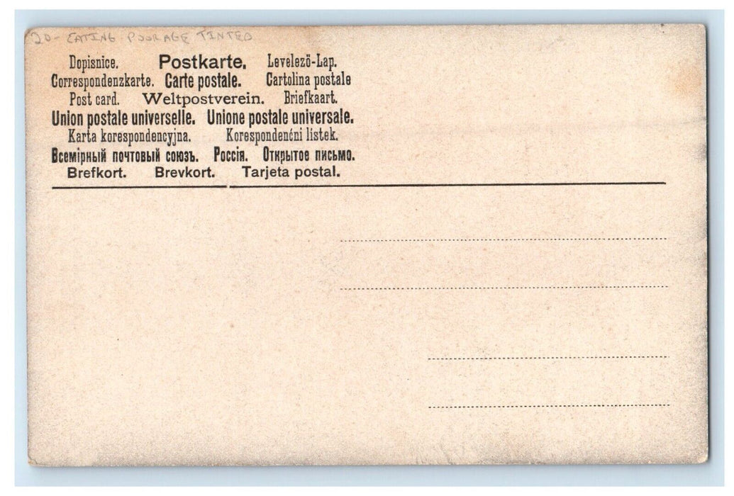 Birthday Greetings Little Girl Eating Poorage Tinted Unposted Antique Postcard