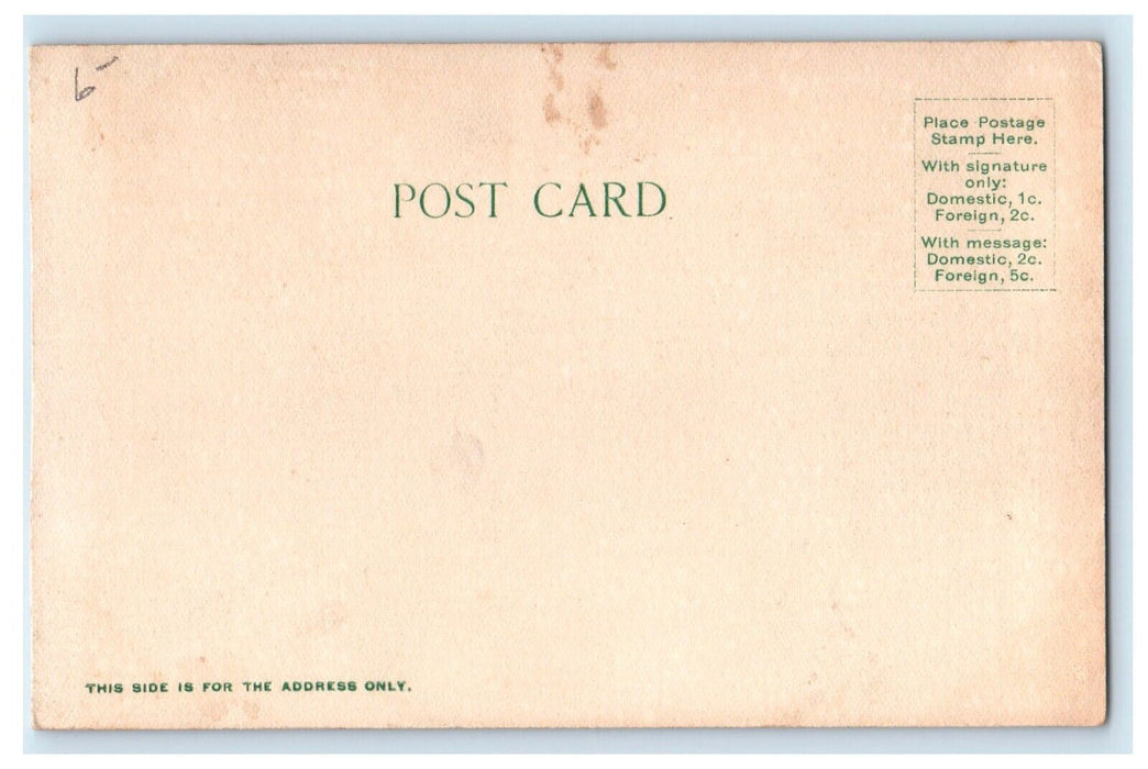 c1905 Bird's Eye View Plymouth New Hampshire NH Unposted Antique Postcard