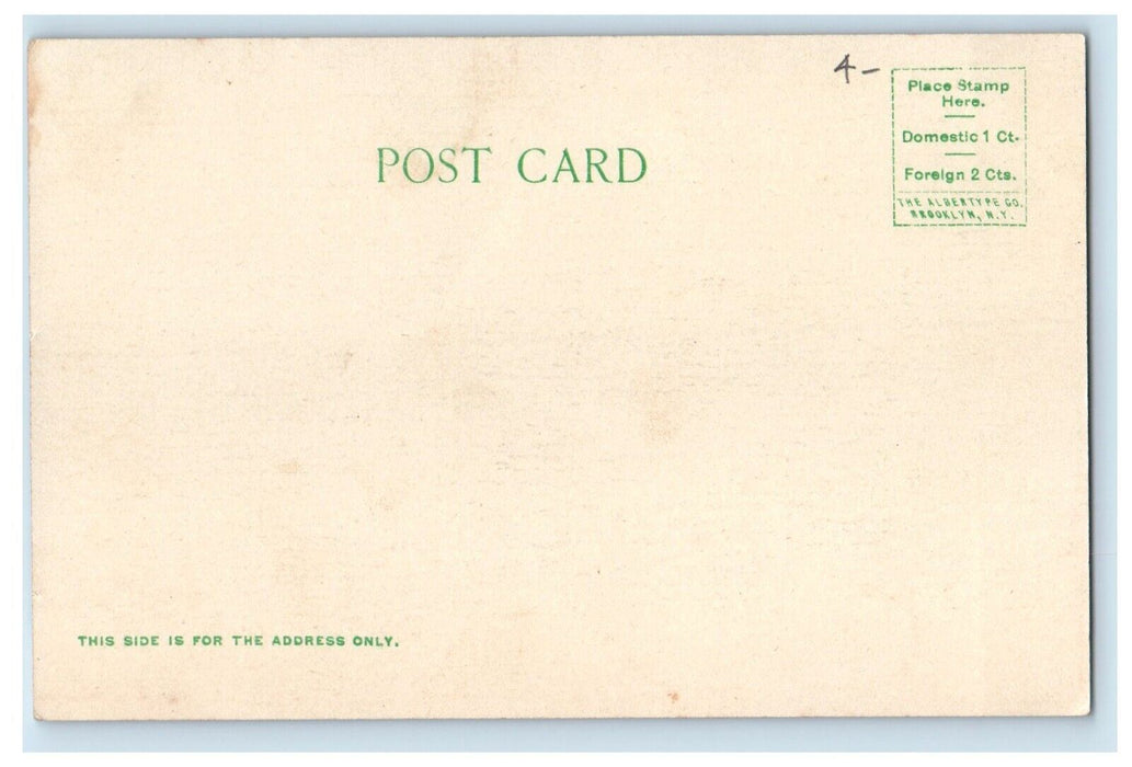 c1905 Versailles Bridge Gowanda New York NY, River Horse Carriage Car Postcard