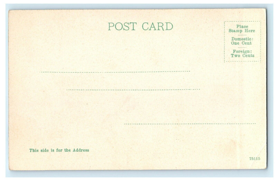 1905 Tipping Rocks Shirley Hill Manchester New Hampshire NH Antque Postcard