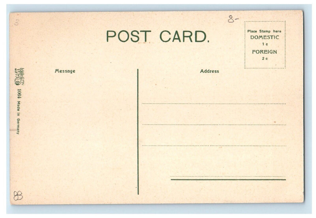 c1910's Cazenovia Creek Canoeing Boat Flag East Aurora New York NY Postcard