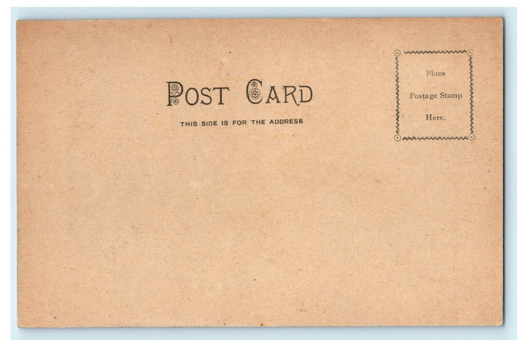 C1905 Moses Rock Coggshall Park Fitchburg Massachusetts MA Antique Postcard