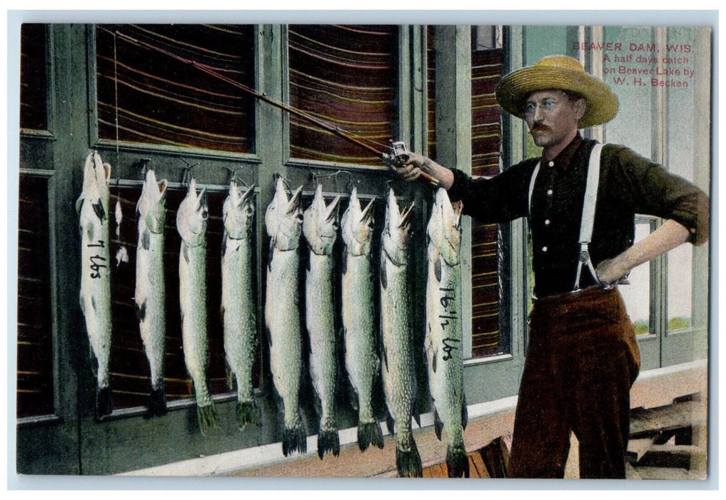 c1910 Half Day Fish Catch on Beaver Lake Beaver Dam Wisconsin WI Postcard