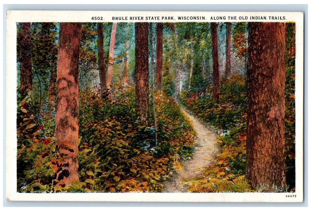 c1930's Along The Old Indian Trails Brule River State Park Wisconsin WI Postcard