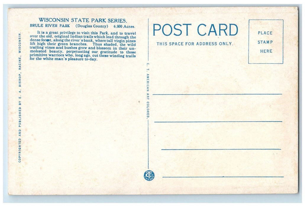 c1930's Along The Old Indian Trails Brule River State Park Wisconsin WI Postcard