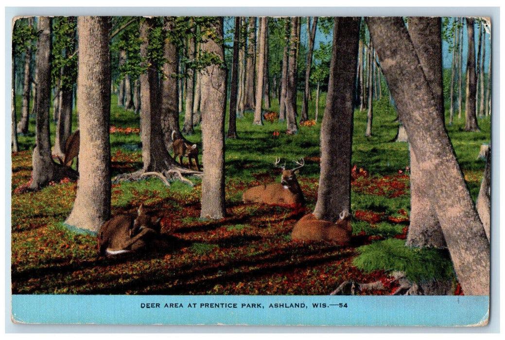1949 Deer Area at Prentice Park Ashland Wisconsin WI Vintage Postcard