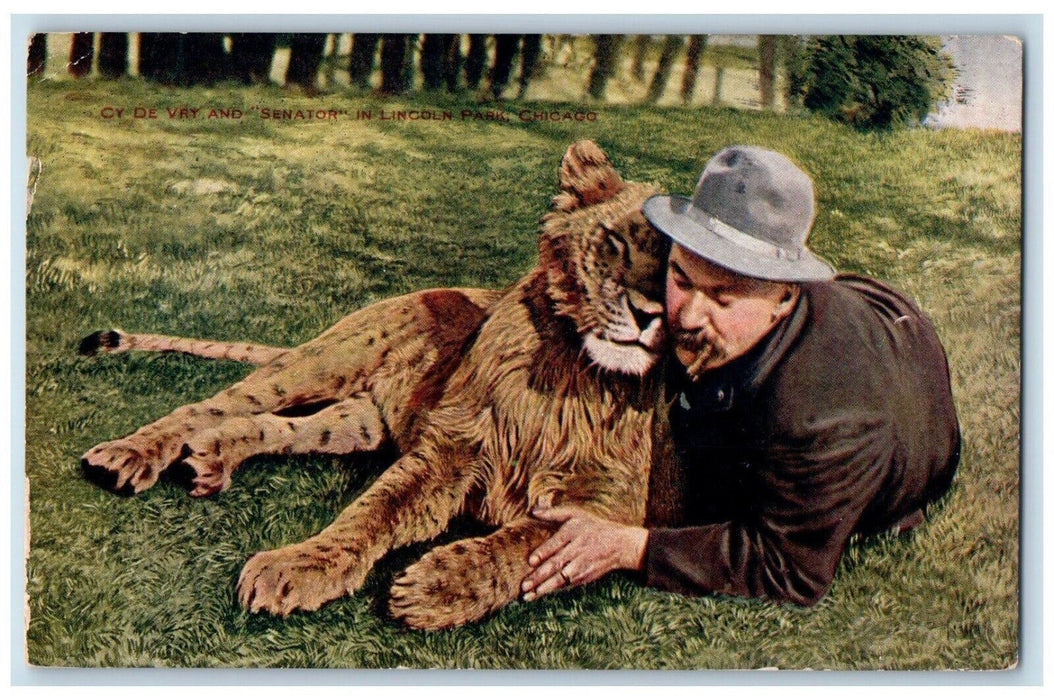 1910 CY De Vry Lion Senator Lincoln Park Chicago VO Hammon Publishing Postcard