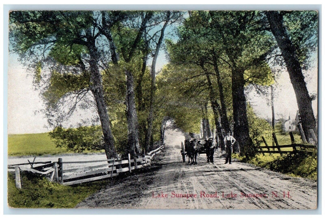 c1910 Lake Sunapee Road Carriage Wagon Lake Sunapee New Hampshire NH Postcard