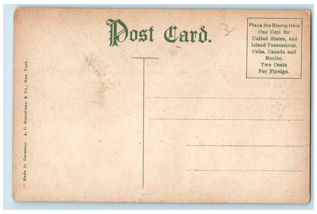 c1910 Interior of St. Pauls Lutheran Church Appleton Wisconsin WI Postcard