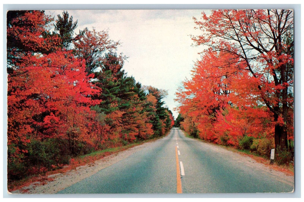 c1950s Red Leaves Tree, Greetings from Eagle River Wisconsin WI Antique Postcard