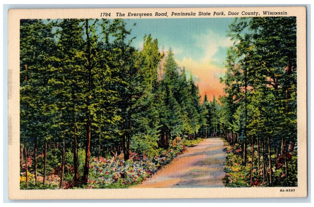 c1950s The Evergreen Road Peninsula State Park Door County Wisconsin WI Postcard