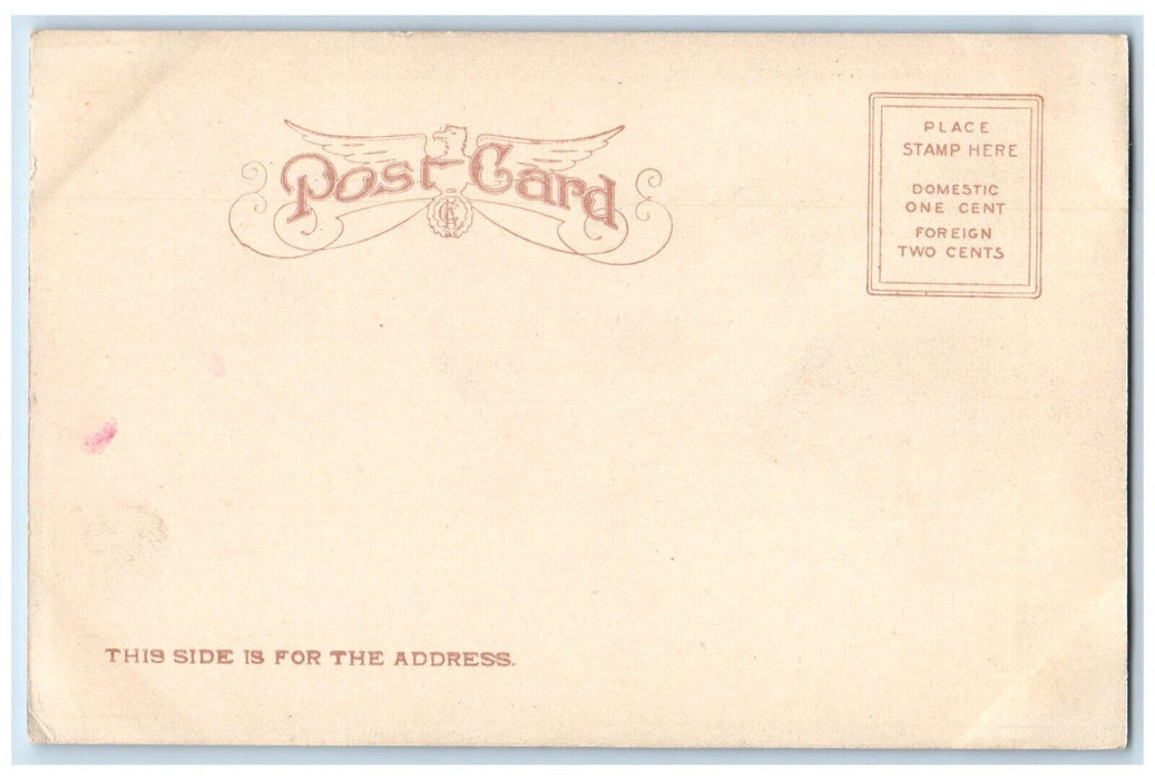 c1905 St Dominic Church Fire Disaster Collapse San Francisco California Postcard