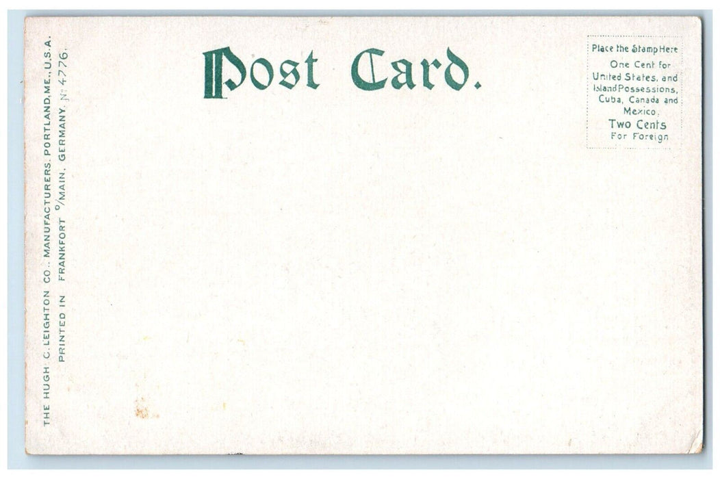 c1905 Windsor Ferry Gebhard Paper Diamond Shoes Store Detroit Michigan Postcard