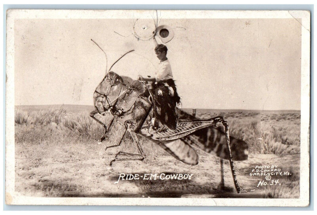 1938 Exaggerated Grasshopper "Ride-Em-Cowboy" Hays Kansas KS RPPC Photo Postcard
