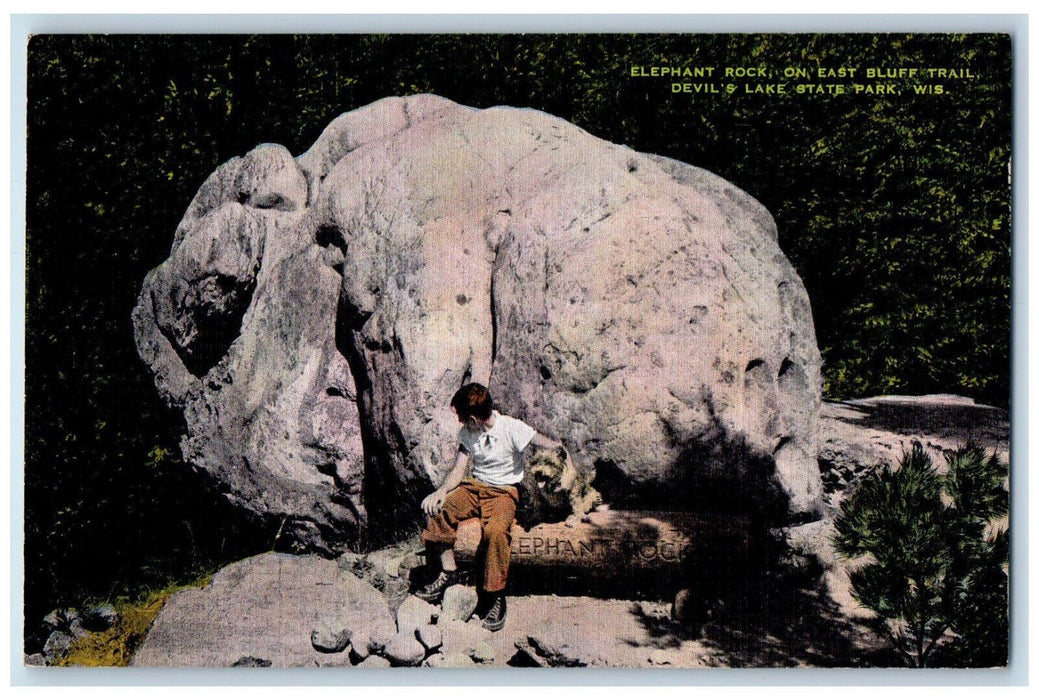 c1940's Elephant Rock On East Bluf Trail Devil's Lake State Park WI Postcard