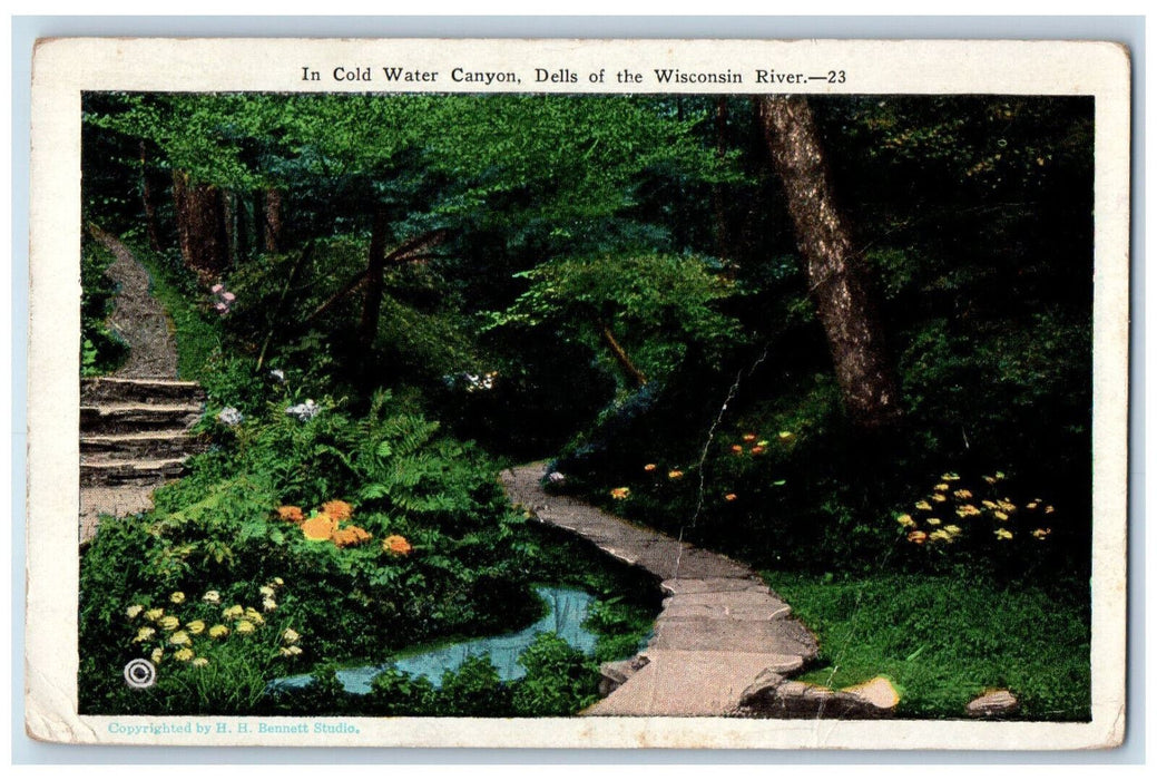 1928 In Cold Water Canyon Dells of the Wisconsin River WI Posted Postcard