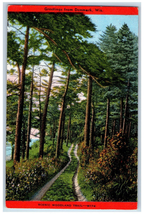 c1950's Scenic Woodland Trail Greetings from Denmark Wisconsin WI Postcard