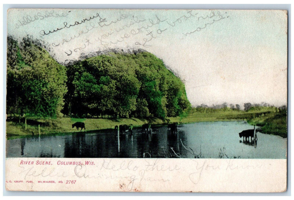 1907 Animal and River Scene, Columbus Wisconsin WI Antique Vintage Postcard