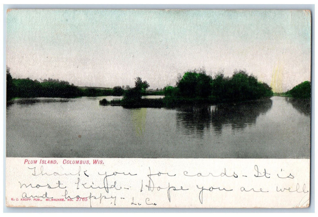 1907 Scene at Plum Island, Columbus Wisconsin WI Antique Posted Postcard