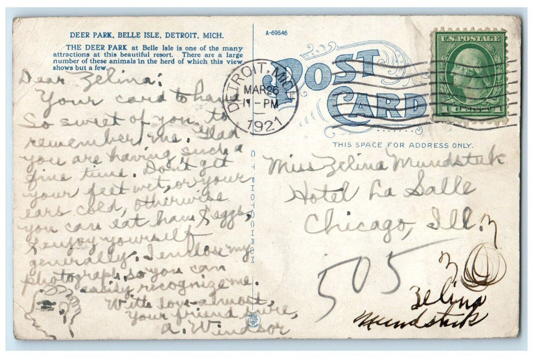 1921 Deer Park Belle Isle Attraction Resort Animals Detroit Michigan Postcard
