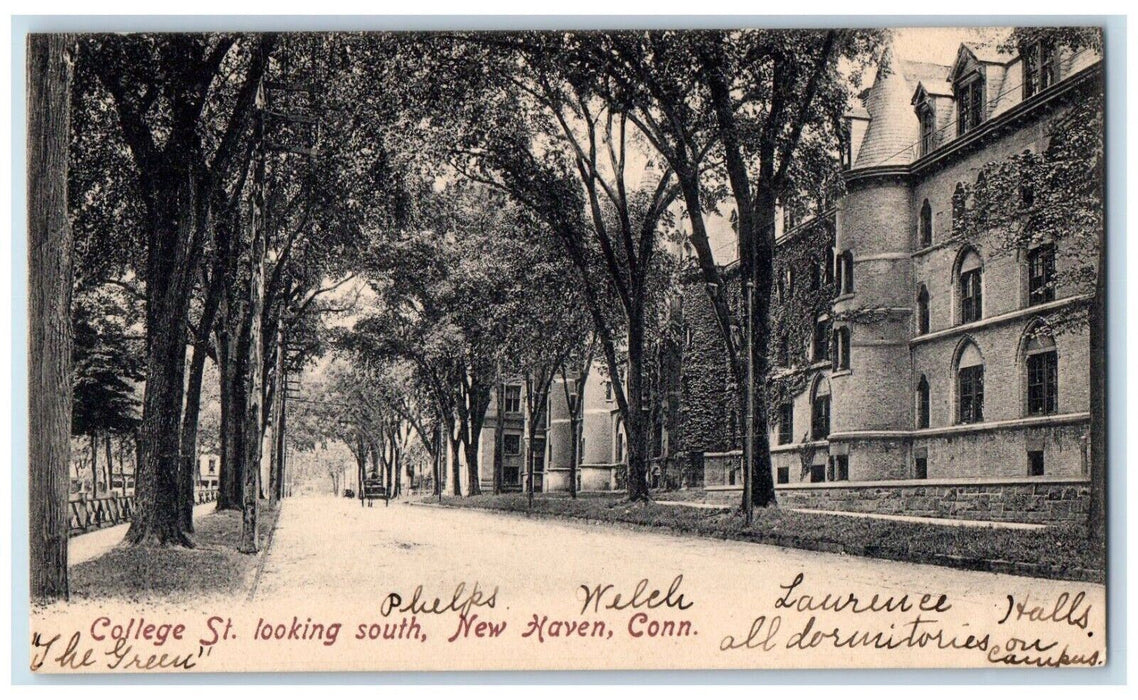 c1905 College St Looking South Road Carriage New Haven Connecticut Conn Postcard