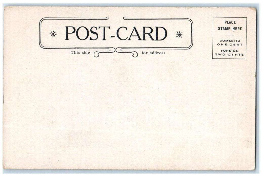 c1905 Yale Campus Pub Howe Stetson Co Inc New Haven Connecticut Conn Postcard