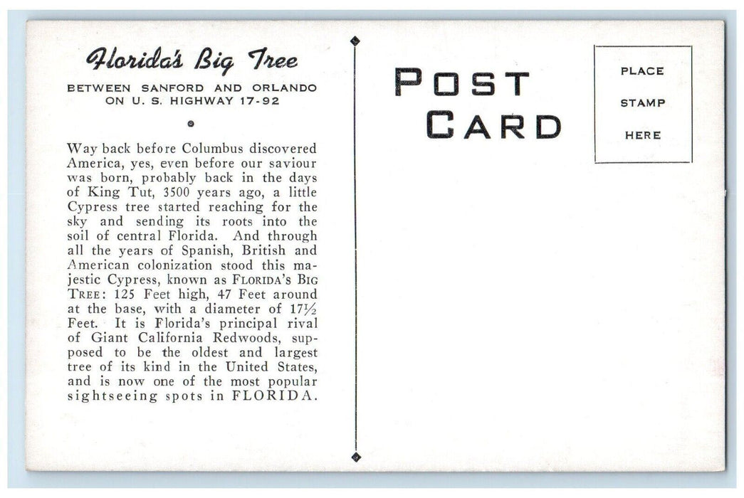c1910 Floridas Big Tree Sanford Orlando US Highway Columbus Florida FL Postcard