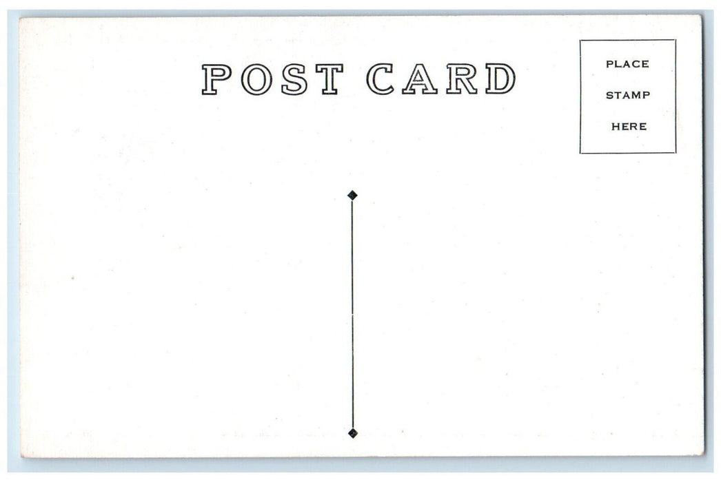c1910 Big Tree Florida Orlando Cypress Tree Ancient Sanford Florida FL Postcard